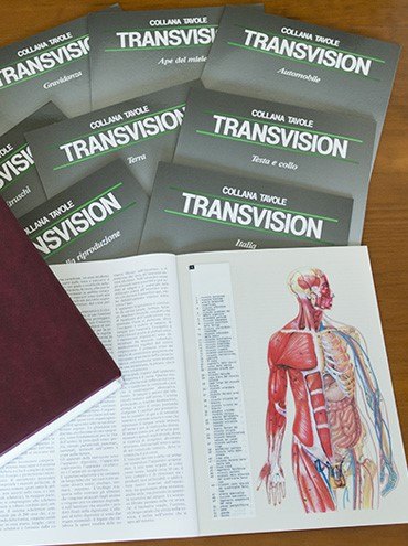 Federico Motta Editore