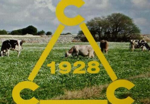 Azienda Agricola Alessandro Criscione logo