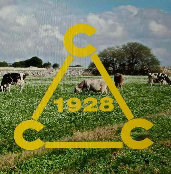 Azienda Agricola Alessandro Criscione logo