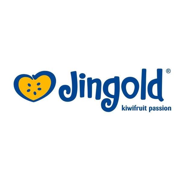 Jingold logo
