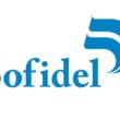 Sofidel ottiene il livello Platinum Ecovadis Sofidel logo